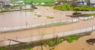 Yoğun yağış tarım arazilerini su altında bıraktı