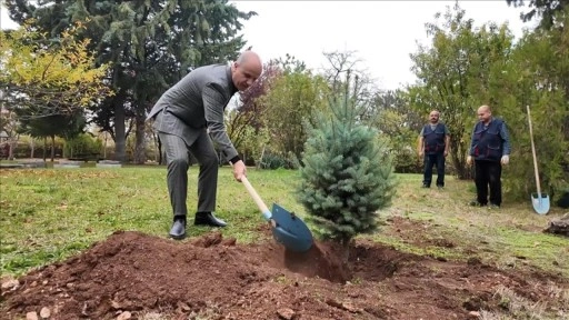 YÖK Başkanı Özvar, Milli Ağaçlandırma Günü dolayısıyla fidan dikti