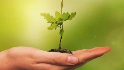 Y&uuml;ksek&ouml;ğretimde &ccedil;evre, iklim ve yeşil d&ouml;n&uuml;ş&uuml;m alanlarında projeler geliştiriliyor