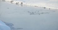 Yüksekova’da kar manzaraları