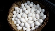 'Yükseliş mevsimsel olarak yumurtaya talebin azalmasından kaynaklandı'
