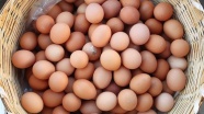 Yumurta fiyatlarındaki artış 'geçici'