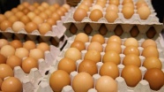 'Yumurta ihracatı artmaya devam edecek'