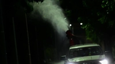 Yunan uzmana g&ouml;re, &uuml;lkesinde Batı Nil vir&uuml;s&uuml; vakalarındaki artışın nedeni değişen iklim