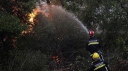 Yunanistan&#039;da devam eden orman yangınları hükümete karşı sert eleştirilere neden oldu