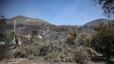 Yunanistan'da son d&ouml;nemdeki yangınlarda 118 bina kullanılamaz hale geldi