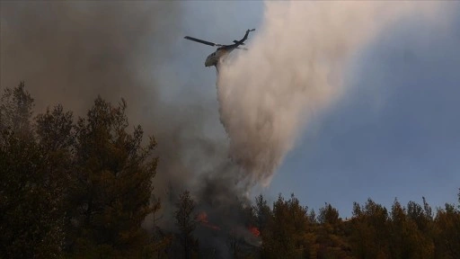 Yunanistan'daki Serez ve Oreokastro'da orman yangını çıktı
