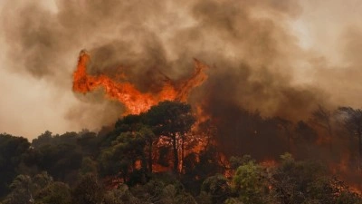 Yunanistan'ın Halkidiki Yarımadası'ndaki yangında 2 bin 480 d&ouml;n&uuml;m alan zarar g&ouml;rd&uuml;