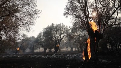 Yunanistan'ın Serez ilinde orman yangınının evlere yakın olması nedeniyle b&ouml;lge tahliye edildi
