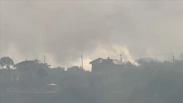 Yunanistan'da orman yangını nedeniyle mühimmat deposunda patlama meydana geldi