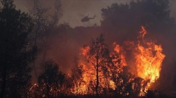Yunanistan'da temmuzun ikinci yarısında 470 bin dönüm ormanlık alan yandı