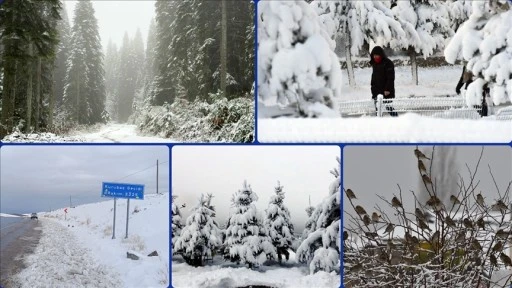Yurdun bazı kesimlerinde kar yağışı ve soğuk hava etkili oluyor
