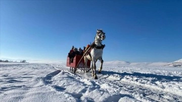 Yüzeyi kar ve buzla kaplı Çıldır Gölü'nde atlı kızak heyecanı sürüyor