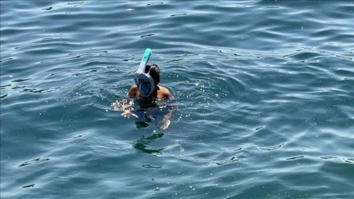 Yüzmeyi yeni öğrenenler yardıma ihtiyacı olabileceğini söylemekten çekinmemeli