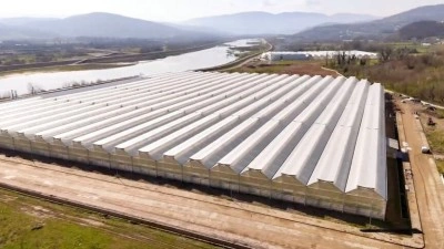 Zonguldak &Ccedil;aycuma Sera Organize Tarım B&ouml;lgesi &uuml;retime başladı