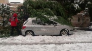 Zonguldak&#039;ta yoğun kar yağışından devrilen ağaçlar 20 otomobile zarar verdi