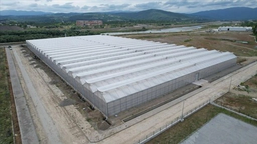 Zonguldak'taki sera organize tarım bölgesi ülke ekonomisine yıllık 750 milyon lira katkı verece