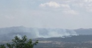 Zorda kalan teröristler ormanlık alanı ateşe verdi