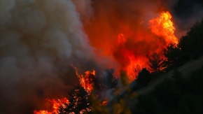 Orman yangınlarında terör şüphesi! Cumhurbaşkanı Erdoğan: Şimdiden bazı emarelere ulaşıldı