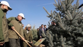 Cumhurbaşkanı Erdoğan, fidan dikti