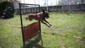 Jandarma köpekleri &quot;Tonya&quot; ve &quot;Barut&quot; suçlulara göz açtırmıyor