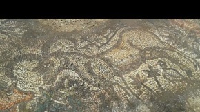 Tarlada bulunan 1600 yıllık mozaik koruma altında